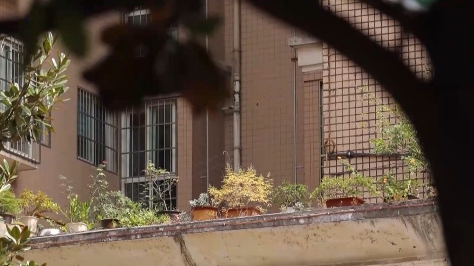 余华英案细节最新披露:追加起诉4起案件、有家庭骨肉分离30年 余华英案细节最新披露:追加起诉4起案件、有家庭骨肉分离30年