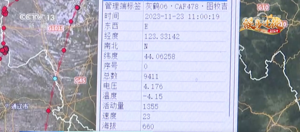 北斗守护鸟儿“回家路” 大数据解码候鸟迁徙路线