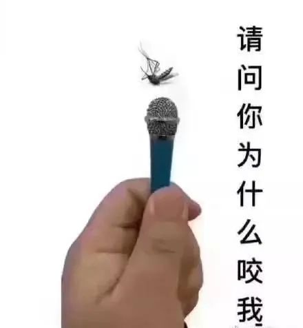 众目睽睽下，他一下子放飞了30万只蚊子！已经不是第一次了…