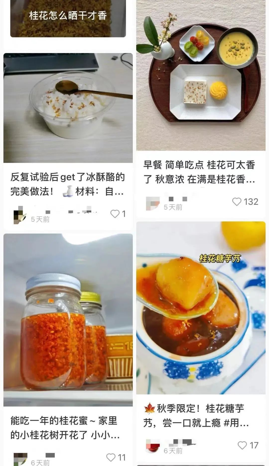 最近重庆满街都是它！别摘、别吃！