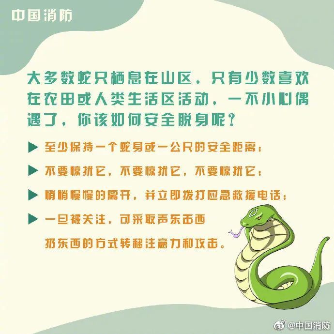 蛇竟然藏身电动自行车内！幸好……