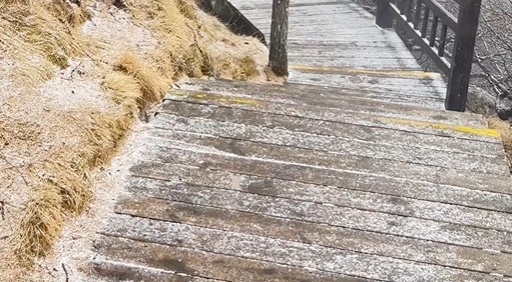 陕西这里下雪了!西安城区雨已到 陕西这里下雪了!西安城区雨已到