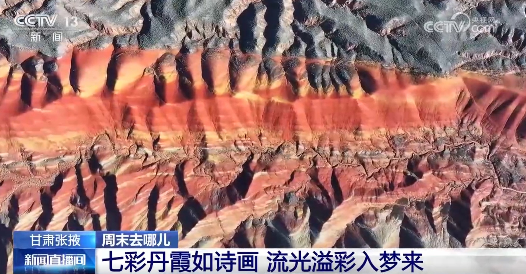 珍稀濒危植物迎来“大发现” 壮美自然景观绚丽多彩如诗如画