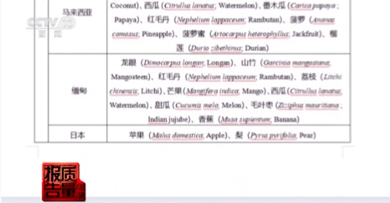 国产葡萄贴上“洋标签”,价格翻10倍?昆明市场情况→ 国产葡萄贴上“洋标签”,价格翻10倍?昆明市场情况→