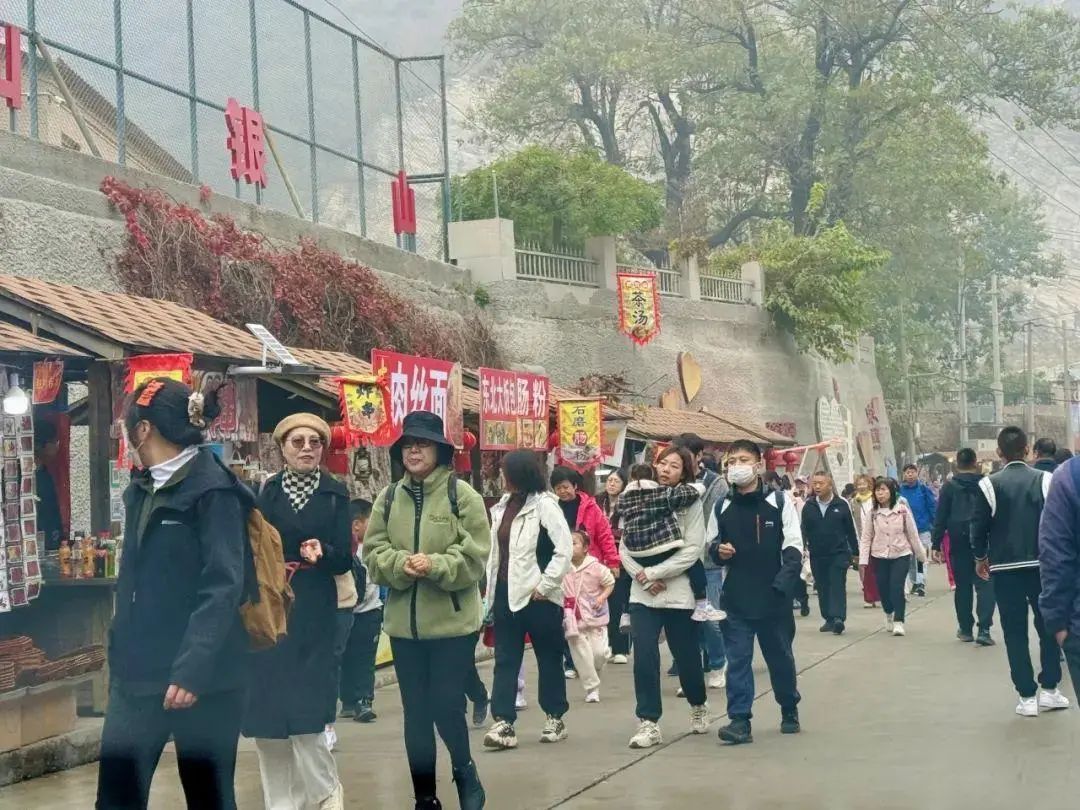 北京彩叶景观进入最佳观赏期,坡峰岭景区早7点半开始流量增大 北京彩叶景观进入最佳观赏期,坡峰岭景区早7点半开始流量增大