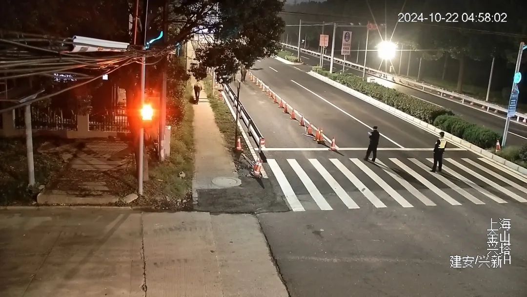凌晨的上海，7匹马溜达在马路上！查明了：它们来自→