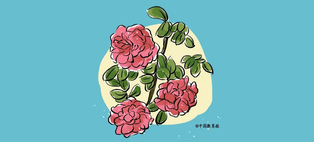 语文能给你带来什么？这就是最好的回答