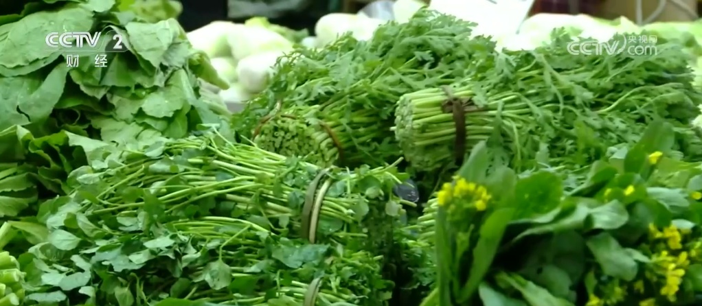 多地市场蔬菜肉类供应充足 “菜篮子”价格出现回落