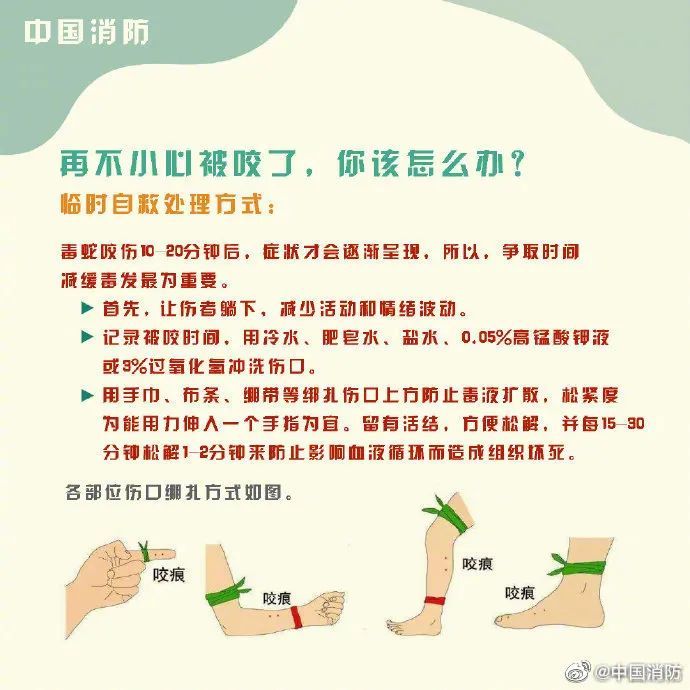 蛇竟然藏身电动自行车内！幸好……