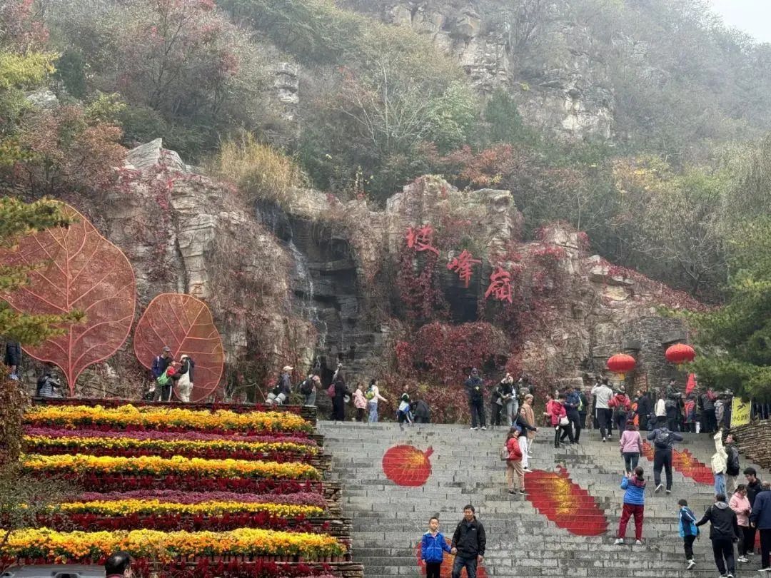 北京彩叶景观进入最佳观赏期,坡峰岭景区早7点半开始流量增大 北京彩叶景观进入最佳观赏期,坡峰岭景区早7点半开始流量增大