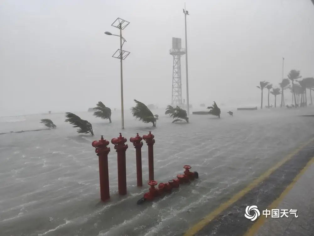 停运停航！台风“潭美”升级！深圳将迎大雨+8级大风