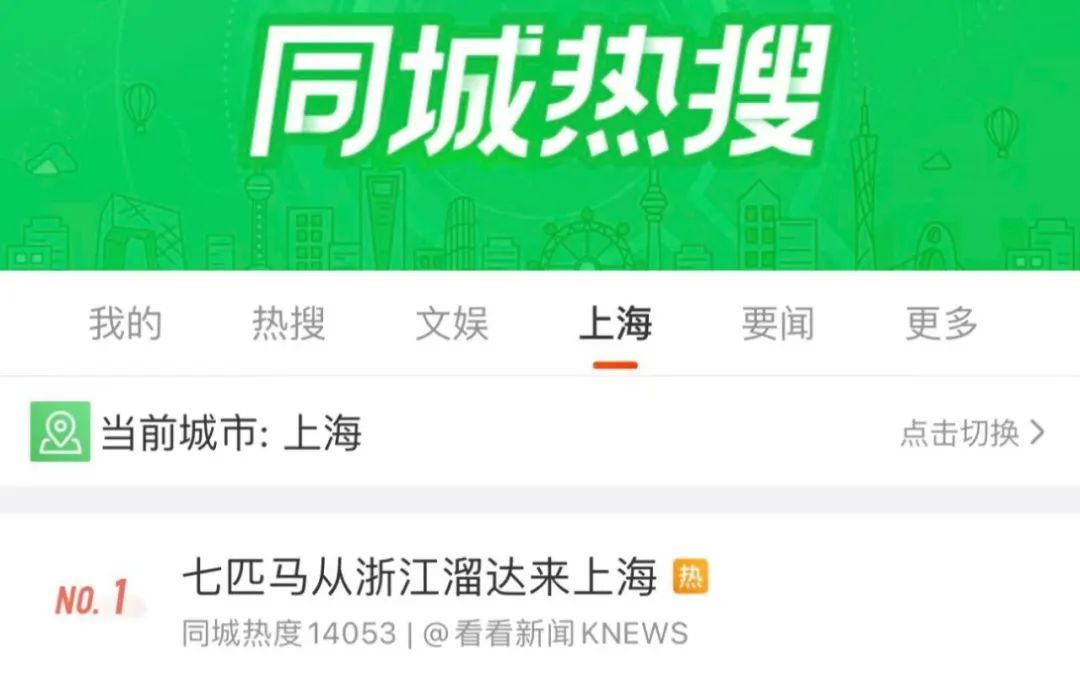 凌晨的上海，7匹马溜达在马路上！查明了：它们来自→