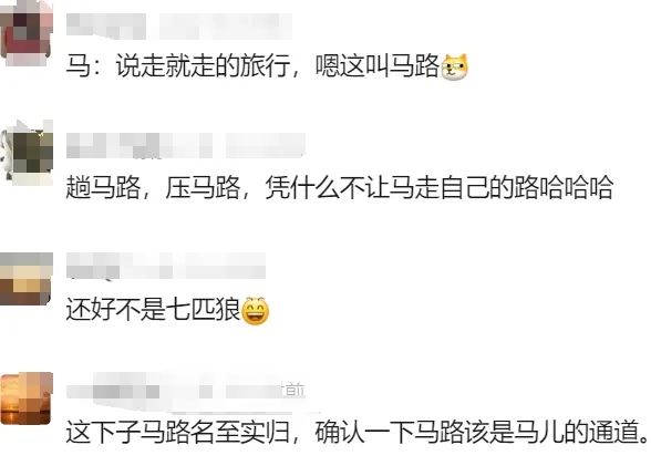 凌晨的上海，7匹马溜达在马路上！查明了：它们来自→