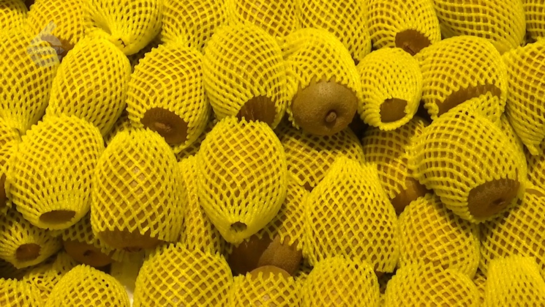 国产葡萄贴上“洋标签”,价格翻10倍?昆明市场情况→ 国产葡萄贴上“洋标签”,价格翻10倍?昆明市场情况→