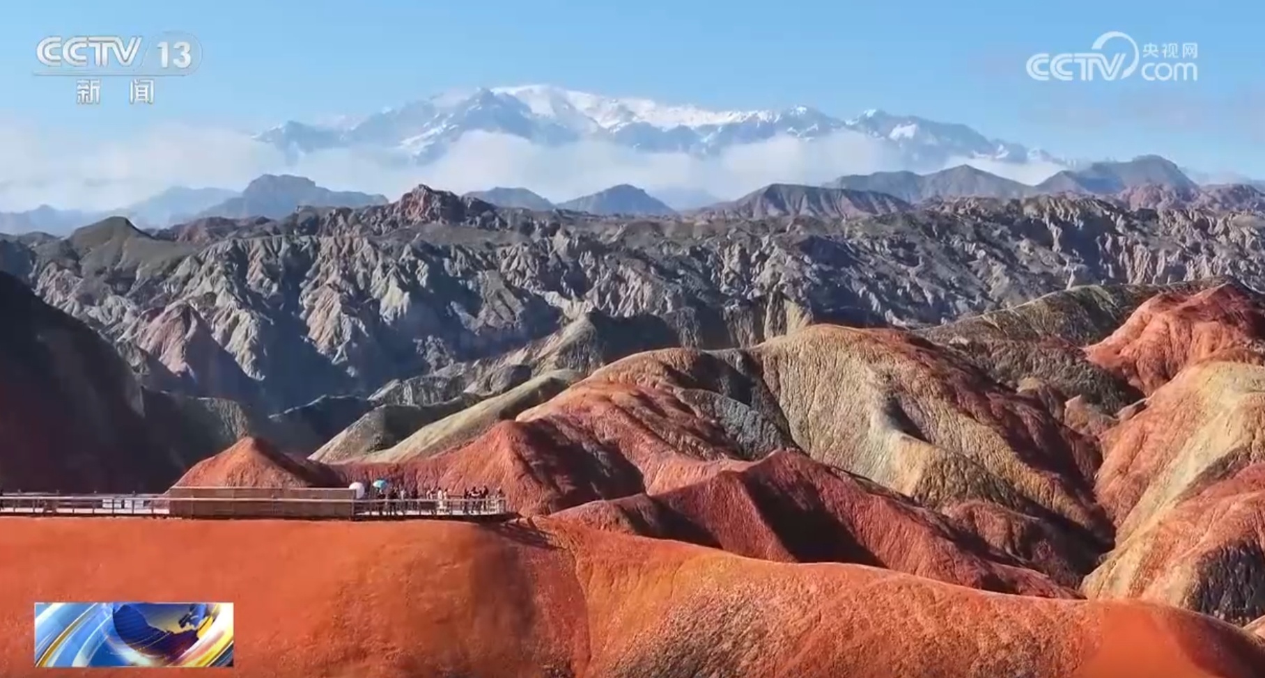 珍稀濒危植物迎来“大发现” 壮美自然景观绚丽多彩如诗如画