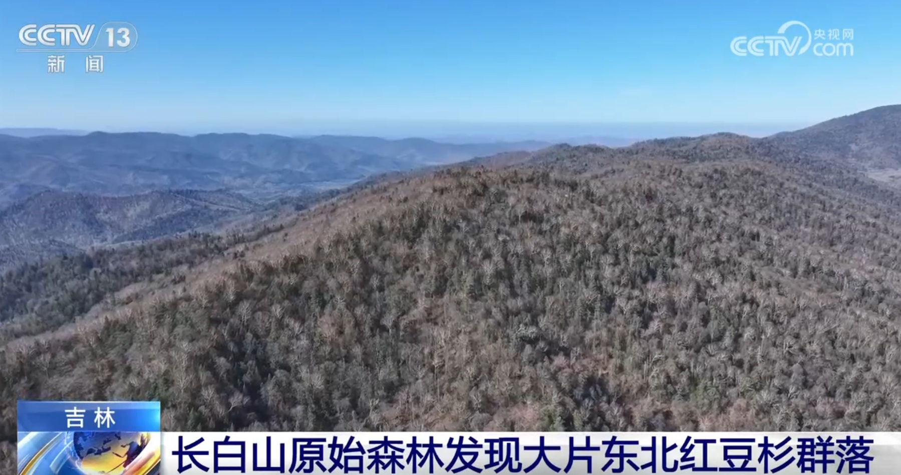 珍稀濒危植物迎来“大发现” 壮美自然景观绚丽多彩如诗如画
