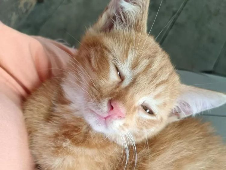 这就是“20岁女人的完美寝室”？千万网友围观羡慕！找到她们几个了……