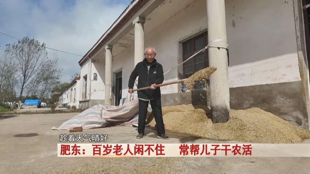百岁老人闲不住，常帮儿子干农活