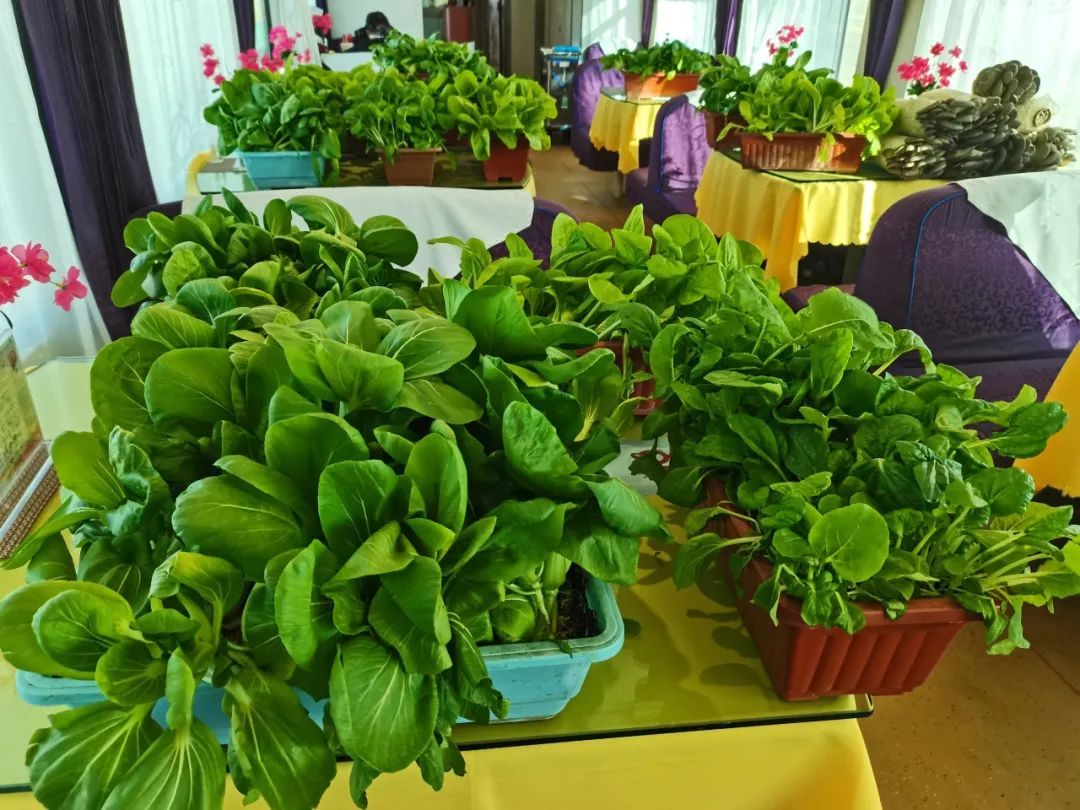 在火车餐车上吃现烤羊腿,是一种什么体验 在火车餐车上吃现烤羊腿,是一种什么体验