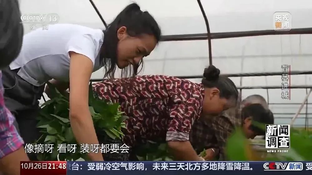 这很重庆 | 背篓专线“开”进防空洞 这很重庆 | 背篓专线“开”进防空洞