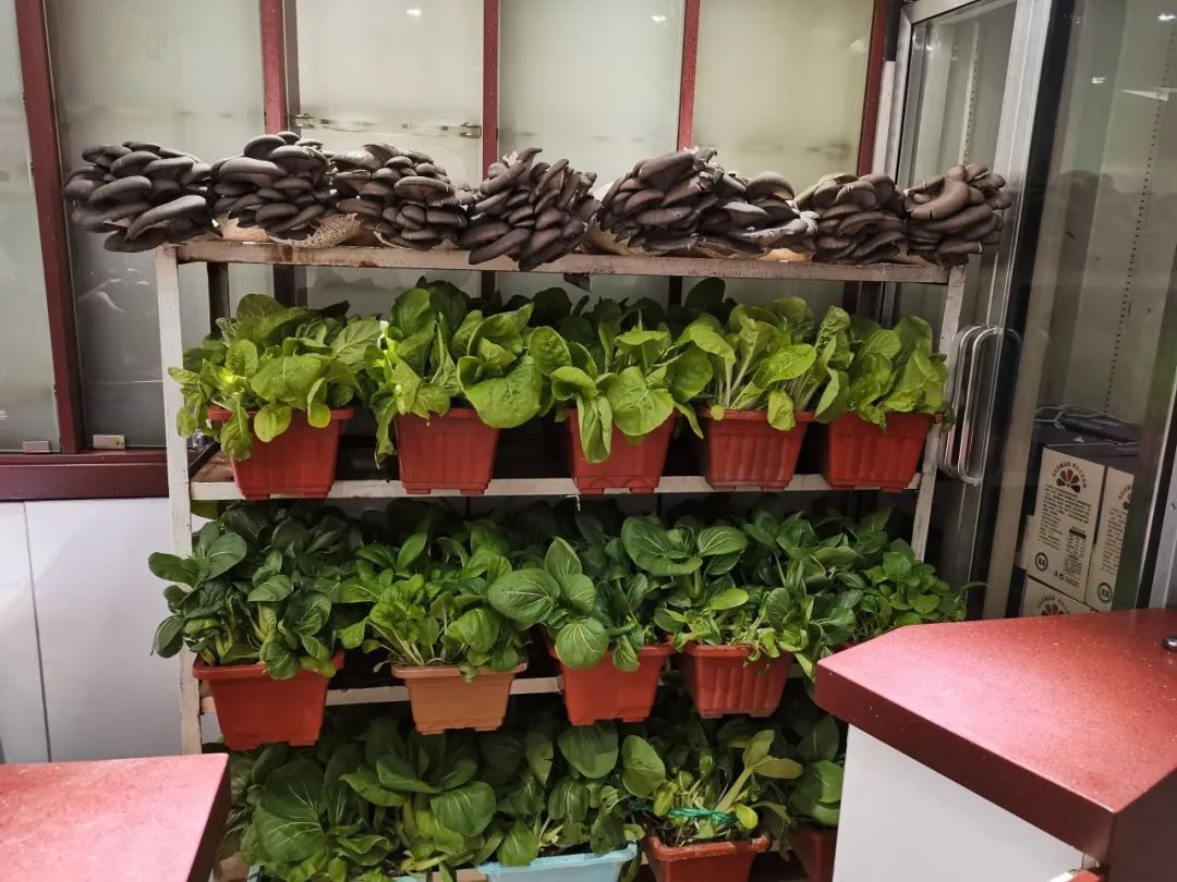 在火车餐车上吃现烤羊腿,是一种什么体验 在火车餐车上吃现烤羊腿,是一种什么体验