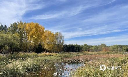秋色正好！北京奥林匹克森林公园秋叶上妆 五彩斑斓美不胜收