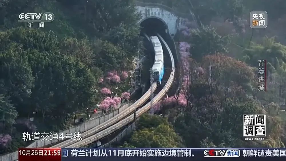 这很重庆 | 背篓专线“开”进防空洞 这很重庆 | 背篓专线“开”进防空洞