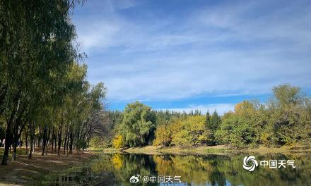 秋色正好！北京奥林匹克森林公园秋叶上妆 五彩斑斓美不胜收