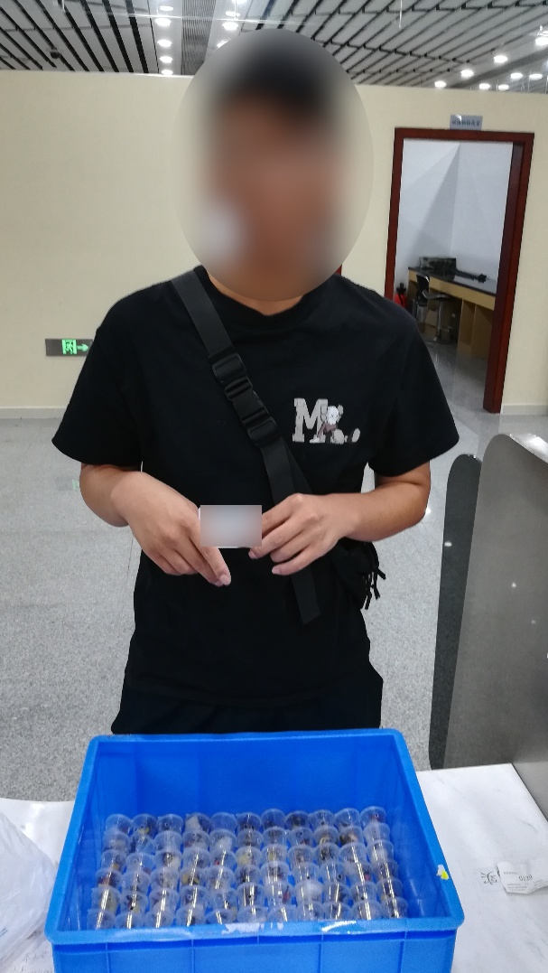 吸血鬼蟹,66只! 吸血鬼蟹,66只!