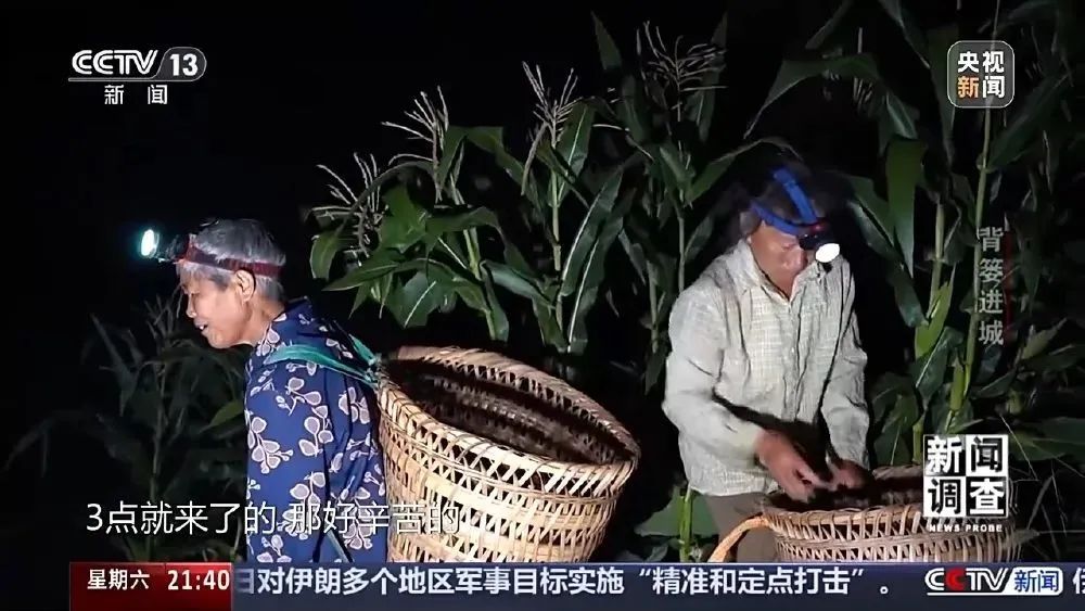 这很重庆 | 背篓专线“开”进防空洞 这很重庆 | 背篓专线“开”进防空洞