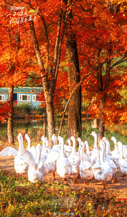 9个宝藏秋景地点,一起解锁绝美秋色 9个宝藏秋景地点,一起解锁绝美秋色