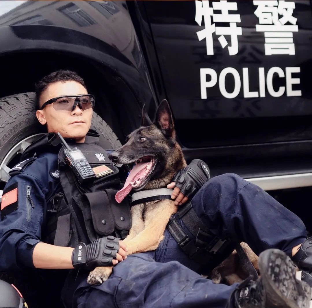 他被公安部表彰,带领8岁功勋犬再出征! 他被公安部表彰,带领8岁功勋犬再出征!