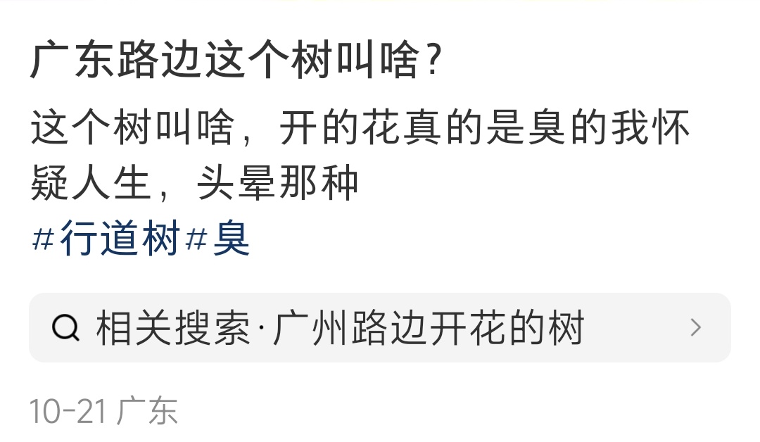 “太上头！”广东街头集中出现“风油精炒排骨味”？网友：顶不住啦！