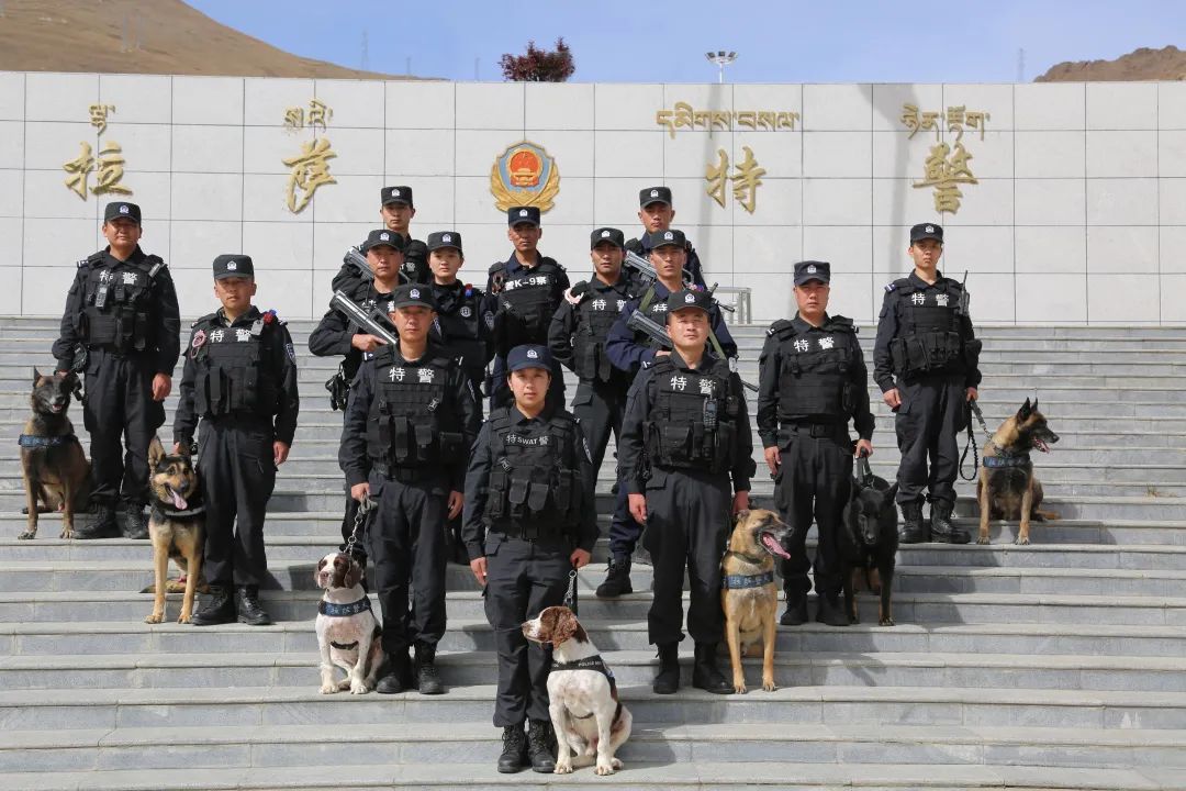 他被公安部表彰,带领8岁功勋犬再出征! 他被公安部表彰,带领8岁功勋犬再出征!