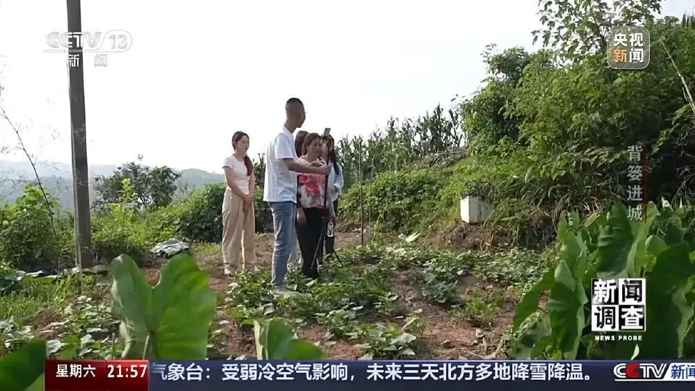 这很重庆 | 背篓专线“开”进防空洞 这很重庆 | 背篓专线“开”进防空洞