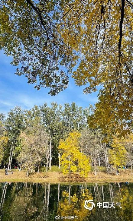 秋色正好！北京奥林匹克森林公园秋叶上妆 五彩斑斓美不胜收