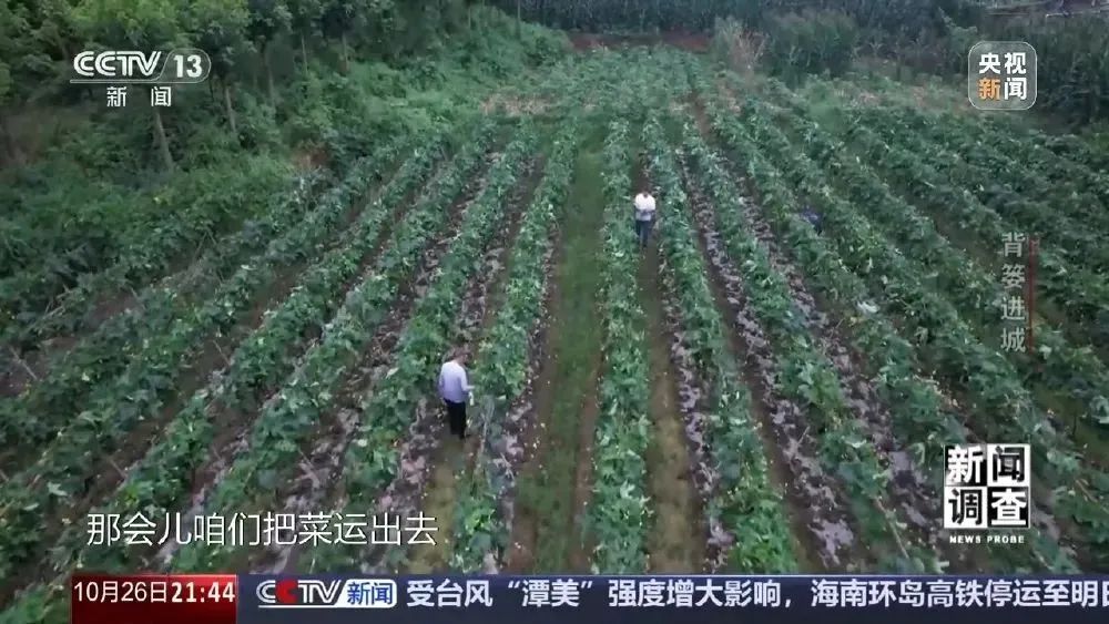 这很重庆 | 背篓专线“开”进防空洞 这很重庆 | 背篓专线“开”进防空洞