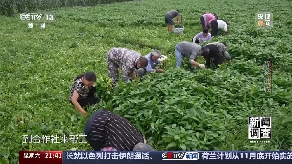这很重庆 | 背篓专线“开”进防空洞 这很重庆 | 背篓专线“开”进防空洞
