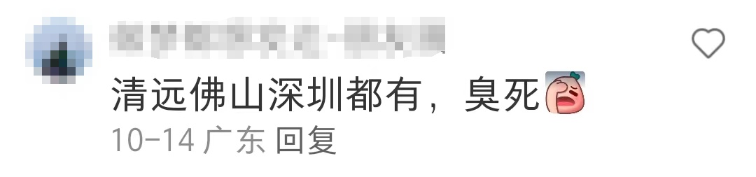 “太上头！”广东街头集中出现“风油精炒排骨味”？网友：顶不住啦！