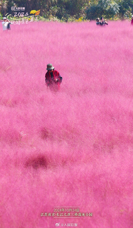 9个宝藏秋景地点,一起解锁绝美秋色 9个宝藏秋景地点,一起解锁绝美秋色