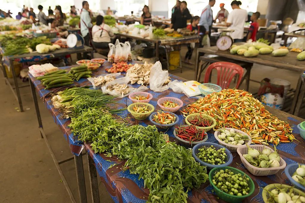 “买个菜直接拿回一盘辣椒炒肉”!多个菜市场服务上新 “买个菜直接拿回一盘辣椒炒肉”!多个菜市场服务上新
