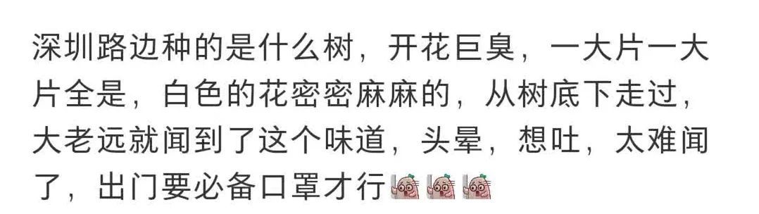 “太上头！”广东街头集中出现“风油精炒排骨味”？网友：顶不住啦！