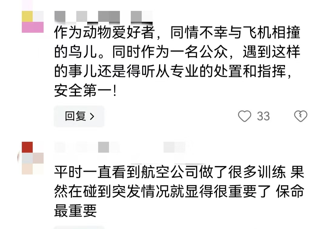 一航班中转落地时遇鸟击延误6小时？机场回应→
