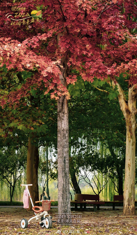 9个宝藏秋景地点,一起解锁绝美秋色 9个宝藏秋景地点,一起解锁绝美秋色