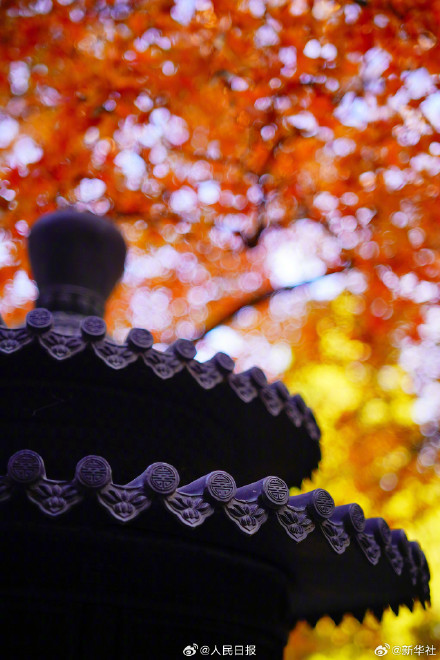 藏在香山红叶里的秋日氛围感