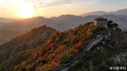 爸妈喜欢的秋日壁纸上新了