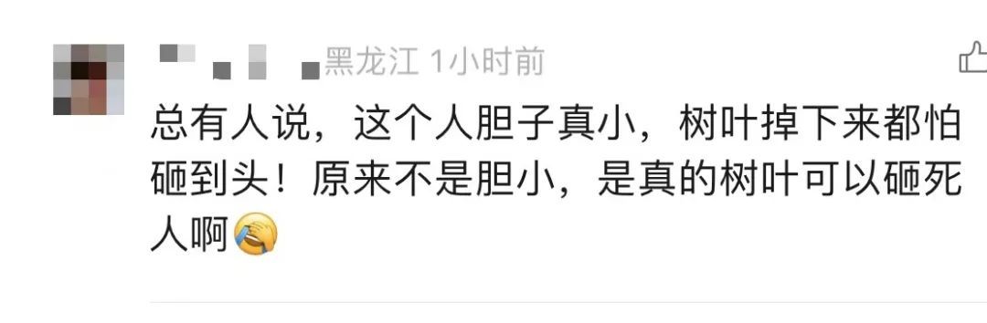 为什么广东人走路都躲着它? 为什么广东人走路都躲着它?