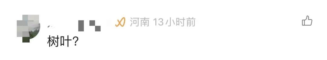 为什么广东人走路都躲着它? 为什么广东人走路都躲着它?