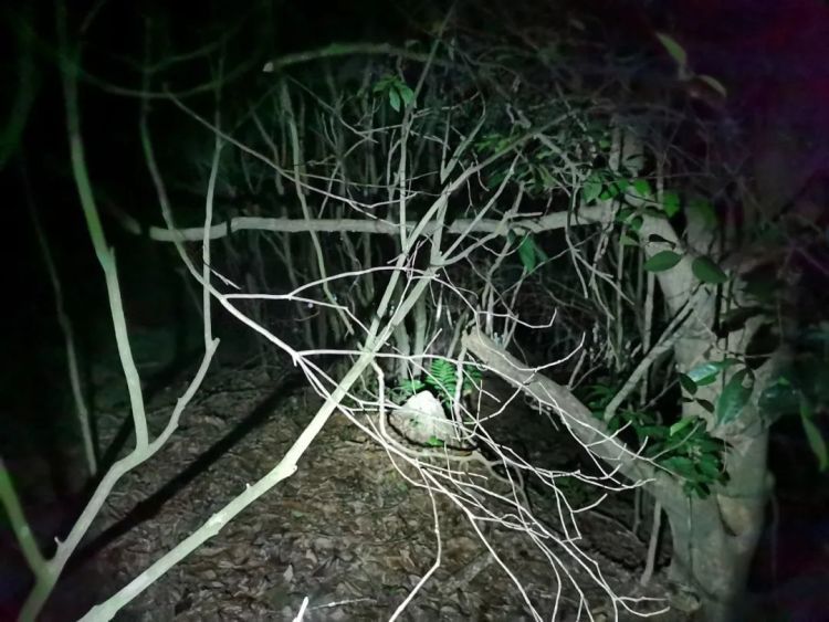 3名“驴友”被困福州深山!警方:本月已接到三次类似警情…… 3名“驴友”被困福州深山!警方:本月已接到三次类似警情……