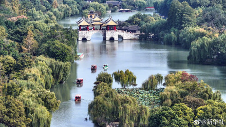 爸妈喜欢的秋日壁纸上新了